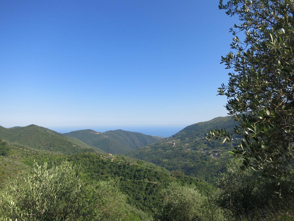 Rustic Liguria Villa Ceriana Eksteriør billede